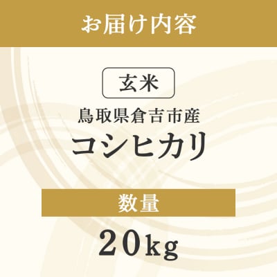 コシヒカリ 玄米 20kg 令和7年産 お米 米 こしひかり 玄米 コシヒカリ