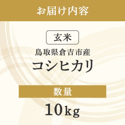 コシヒカリ 玄米 10kg 令和7年産 お米 米 こしひかり 玄米 コシヒカリ
