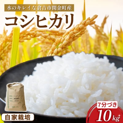 コシヒカリ 10kg(7分づき)令和7年産 新米 お米 米 こめ コメ こしひかり コシヒカリ ご飯