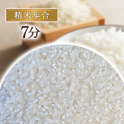 コシヒカリ 10kg(7分づき)令和7年産 お米 米 こめ コメ こしひかり コシヒカリ ご飯