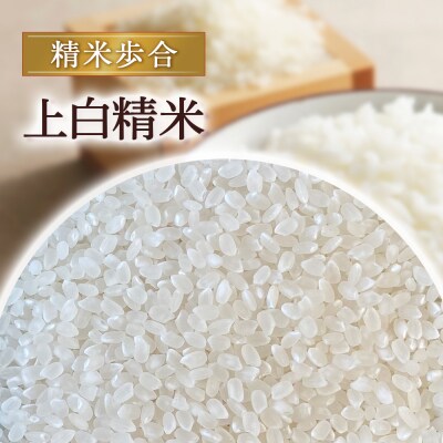 コシヒカリ 18kg(上白精米)令和7年産 お米 米 こめ コメ こしひかり コシヒカリ ご飯