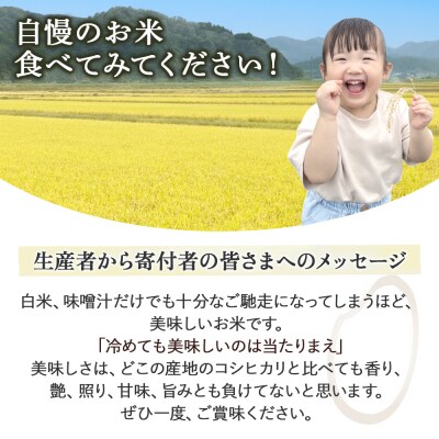 コシヒカリ 18kg(クリーン精米)令和7年産 新米 お米 米 こめ コメ こしひかり コシヒカリ 