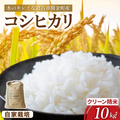 コシヒカリ 10kg(クリーン精米)令和7年産 新米 お米 米 こめ コメ こしひかり コシヒカリ