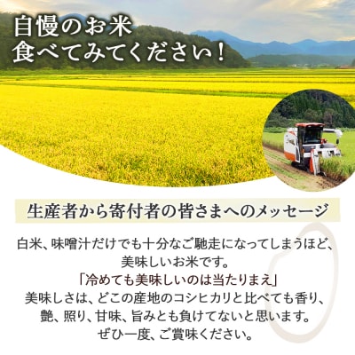 コシヒカリ 10kg(クリーン精米)令和7年産 新米 お米 米 こめ コメ こしひかり コシヒカリ