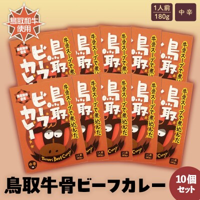 鳥取ビーフカレー10 個セット