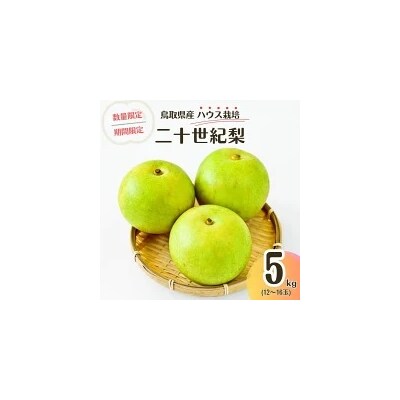 ハウス二十世紀梨【鳥取県産】5kg(生橋農園)