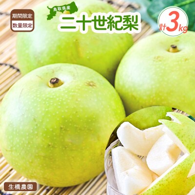 二十世紀梨【鳥取県産】3kg(生橋農園)