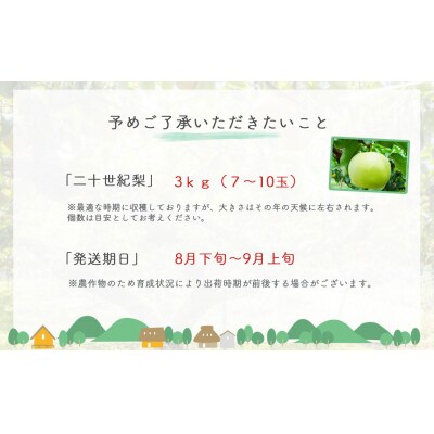 二十世紀梨【鳥取県産】3kg(生橋農園)