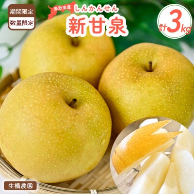 新甘泉【鳥取県産】3kg(生橋農園)