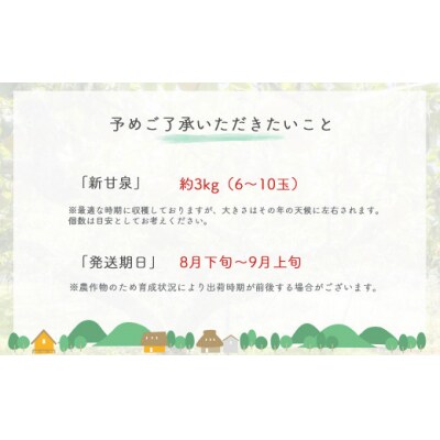 新甘泉【鳥取県産】3kg(生橋農園)
