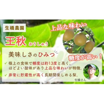 王秋【鳥取県産】5kg(生橋農園)