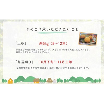 王秋【鳥取県産】5kg(生橋農園)