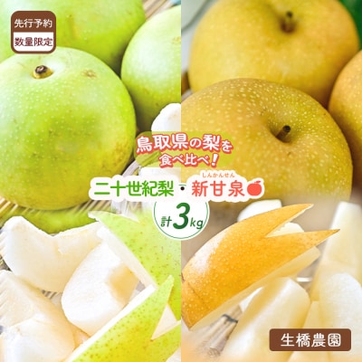 新甘泉と二十世紀梨の食べ比べセット【鳥取県産】3kg(生橋農園)