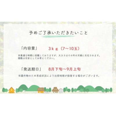 新甘泉と二十世紀梨の食べ比べセット【鳥取県産】3kg(生橋農園)