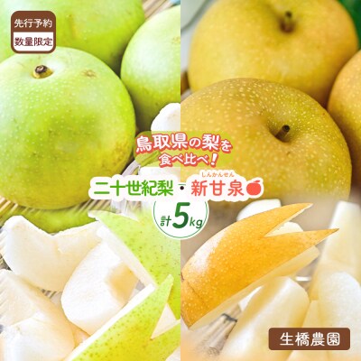 新甘泉と二十世紀梨の食べ比べセット【鳥取県産】5kg(生橋農園)