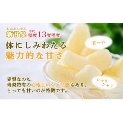新甘泉と二十世紀梨の食べ比べセット【鳥取県産】5kg(生橋農園)