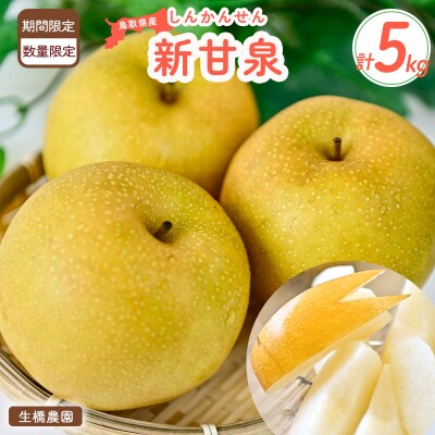 新甘泉【鳥取県産】5kg(生橋農園)