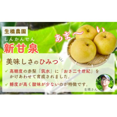 新甘泉【鳥取県産】5kg(生橋農園)