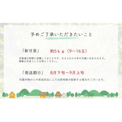 新甘泉【鳥取県産】5kg(生橋農園)