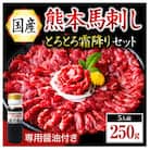 【国産】熊本馬刺し とろとろ霜降りセット 中トロ 250g(南小国)