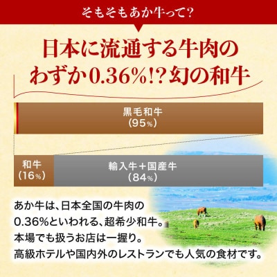 【熊本県産】健康あか牛モモステーキ約500g(約250g×2枚)(南小国)