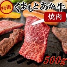 【熊本県産】GI認証取得 くまもとあか牛(特選・焼肉用500g)(南小国町)