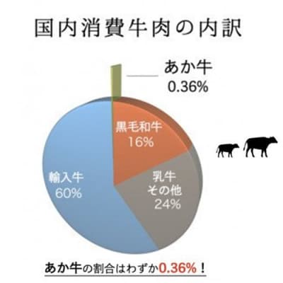 【熊本県産】GI認証取得　くまもとあか牛(特選・すき焼き用500g)(南小国町)