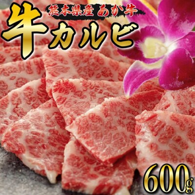 【熊本県産】GI認証取得　くまもとあか牛 (牛カルビ・焼肉用600g)(南小国町)