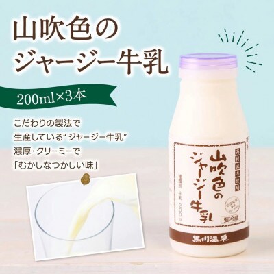 山吹色のジャージーヨーグルト よくばりセット 4種