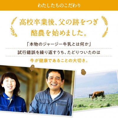 山吹色のジャージーヨーグルト食べきりセット 3種 計12本