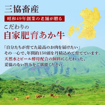 【熊本県産】あか牛ランプステーキ 300g(南小国町)