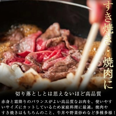 南小国産 阿蘇高原牛 切り落とし 約1.8kg(南小国町)