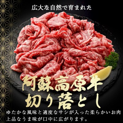 南小国産 阿蘇高原牛 切り落とし 約2.4kg(南小国町)