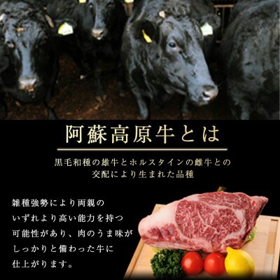 南小国産 阿蘇高原牛 肩ローススライス 約1.2kg(南小国町)