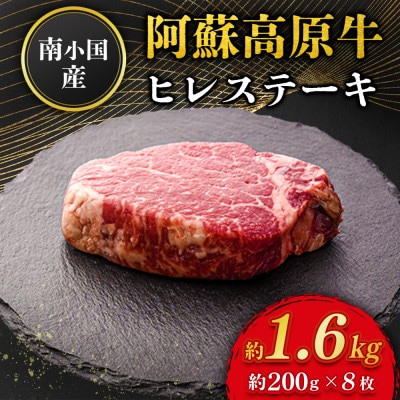 南小国産 阿蘇高原牛 ヒレステーキ 約1.6kg(南小国町)