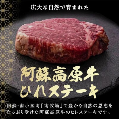 南小国産 阿蘇高原牛 ヒレステーキ 約1.2kg(南小国町)