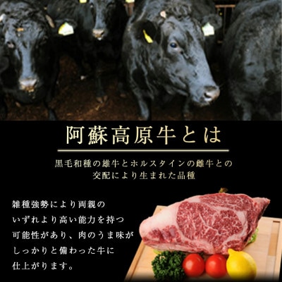 南小国産 阿蘇高原牛 バラ上カルビ 約400g(南小国町)