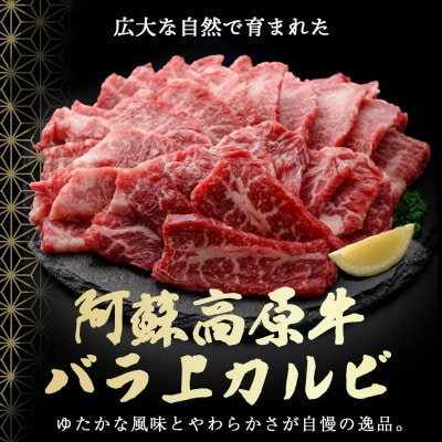 南小国産 阿蘇高原牛 バラ上カルビ 約800g(南小国町)