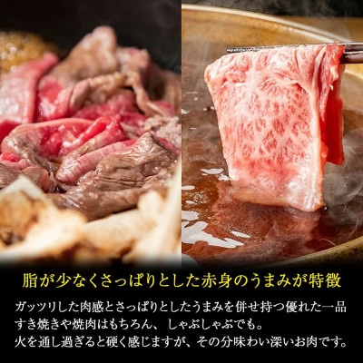 南小国産 阿蘇高原牛 赤身スライス 約1.8kg(南小国町)
