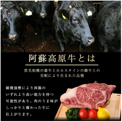 南小国産 阿蘇高原牛 ローススライス 約1.6kg(南小国町)