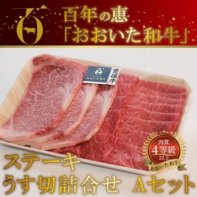 百年の恵 「おおいた和牛」 ステーキ・うす切詰合せ Aセット約700g_A01063