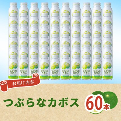 つぶらなかぼす(60本)