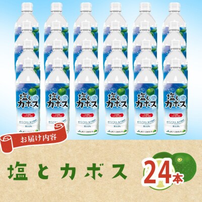 塩とカボス(24本)