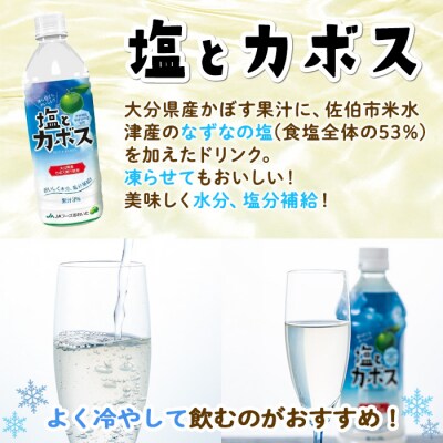 塩とカボス(24本)