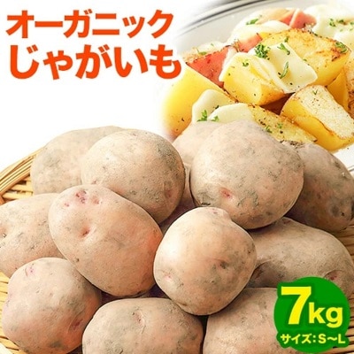 北海道十勝 オーガニックじゃがいも「さやあかね」7kg