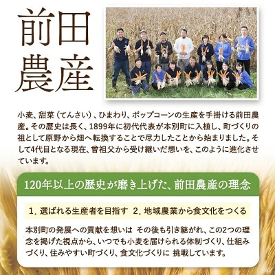 北海道 冷凍マルゲリータピザ3枚セット