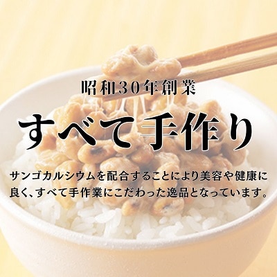 北海道十勝本別町手詰め納豆10個セット(7種類)