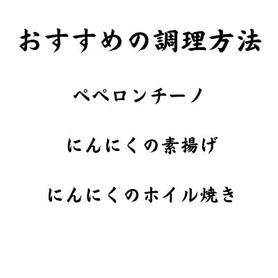 【先行予約】北海道十勝本別町産土付きにんにく白玉王1kgLサイズ