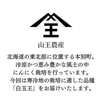 【先行予約】北海道十勝本別町産土付きにんにく白玉王1kgMサイズ