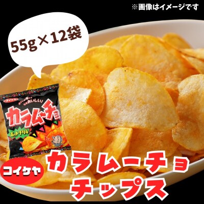 北海道 十勝 本別町 湖池屋 「カラムーチョチップス」12袋×1箱